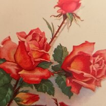 Встала в 7 вечера. Доброе утро мемы. Афоризмы про отдых и работу. Встанем. Афоризмы про отдых и работу.