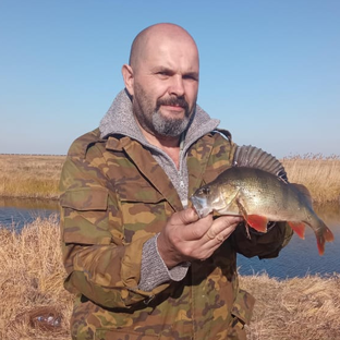 Статистика Дзен Андрей_Целиноград