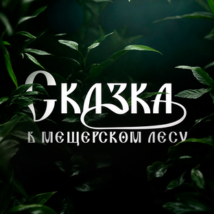 Статистика Дзен Комплекс "Сказка в Мещерском лесу"