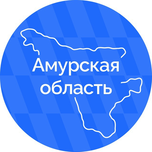 Статистика Дзен Амурская область
