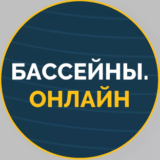 Дзен Бассейны.онлайн статистика