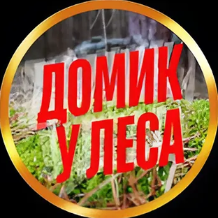 Статистика Дзен Домик у леса