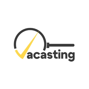 Статистика Дзен Vacasting