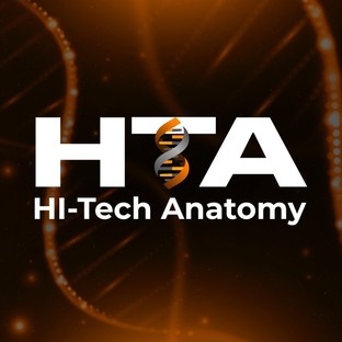 Статистика Дзен Hi-Tech Anatomy