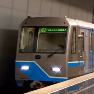 Статистика Дзен Метро и транспорт