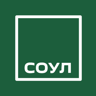 Статистика Дзен СОУЛ - заботливое агентство недвижимости