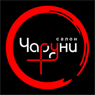 Статистика Дзен Салон Чаруни