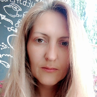 Статистика Дзен Блог "Каким должно быть реальное образование" (Без ИИ)