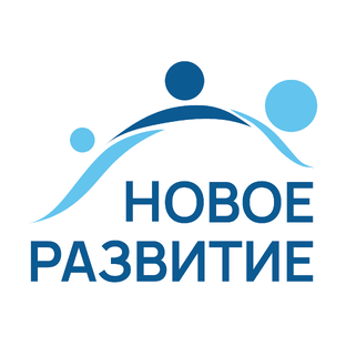 Статистика Дзен Благотворительный фонд Новое развитие