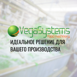 Статистика Дзен Vegasystems