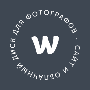 Статистика Дзен Wfolio — сайты для фотографов