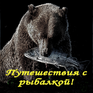 Дзен Путешествие с рыбалкой. статистика