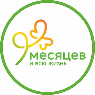 Статистика Дзен Клиника «9 месяцев»