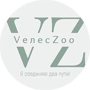 Статистика Дзен VелесZоо™