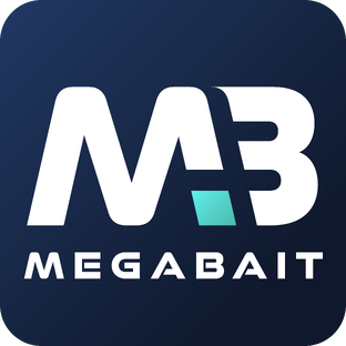 Статистика Дзен МегаБайт