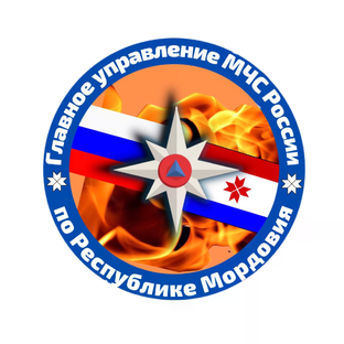 Статистика Дзен ГУ МЧС по Республике Мордовия