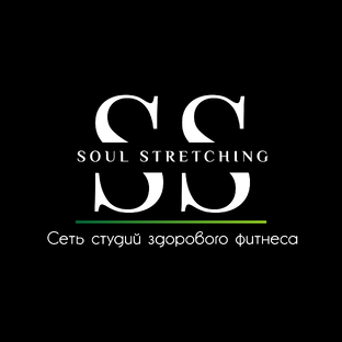 Статистика Дзен Сеть студий здорового фитнеса "Soul stretching" и детский спортивный центр "Soul kids"