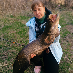 Статистика Дзен Рыбалка 🎣