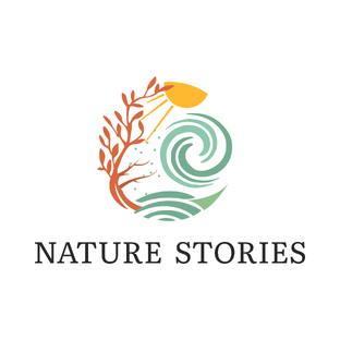 Статистика Дзен Nature Stories