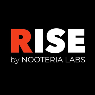 Статистика Дзен RISE