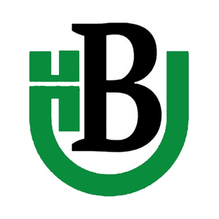 Статистика Дзен Новочеркасские ведомости