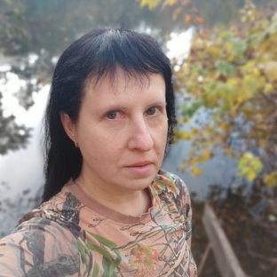 Статистика Дзен Наталья Макеева: политика, творчество и другое