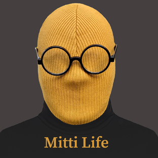 Статистика Дзен Mitti Life