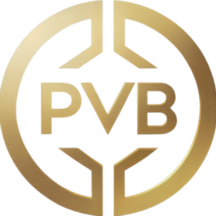 Статистика Дзен PVB exchange I Обмен криптовалюты, международные платежи