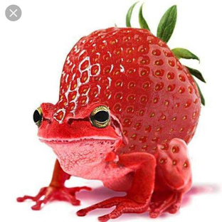 Статистика Дзен Dary.berry