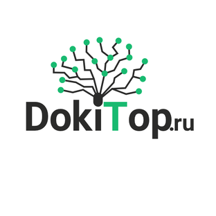 Статистика Дзен DokiTop