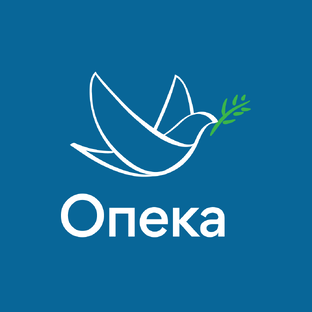Статистика Дзен Уход для пожилых «Опека»