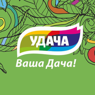 Статистика Дзен Удача Ваша Дача