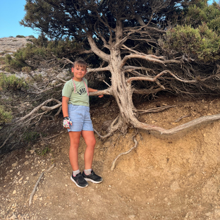 Дзен Золотой пес статистика