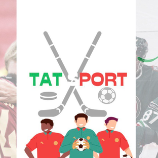 Статистика Дзен "ТатСпорт"