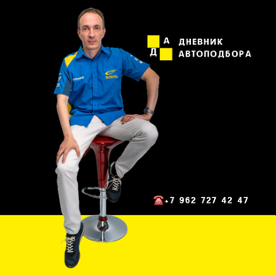 Статистика Дзен Дневник Автоподбора