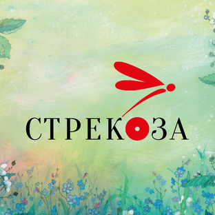 Статистика Дзен Издательство "Стрекоза"
