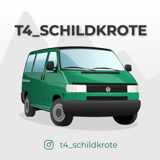 Статистика Дзен t4_schidlkrote