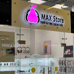 Статистика Дзен MAX:Store Магазин Электроники