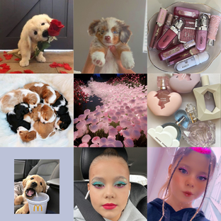 Статистика Дзен I_am_varya💋🐾