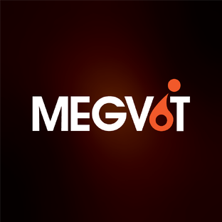 Статистика Дзен MEGVIT - автохимия для детейлинга