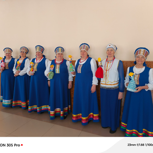 Статистика Дзен "Серебряный ручей"