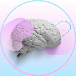 Статистика Дзен  Self Lab | Тело, ум, психика, лайфхаки