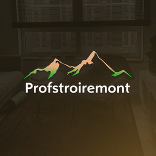 Статистика Дзен Ремонт квартир в Санкт-Петербурге | ProfStroiRemont