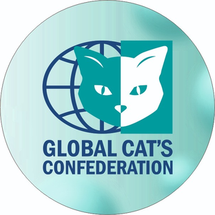 Статистика Дзен GLOBAL CAT’S