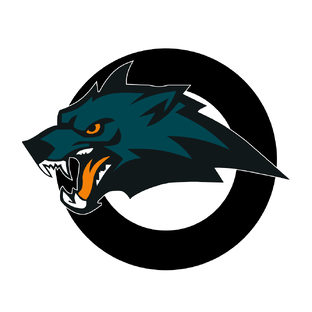 Статистика Дзен Фабрика 3DWolf