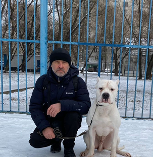 Статистика Дзен Иван Савкин Кинолог Психология. Формирование поведения, воспитание, УГС. ОКД. ПП. Бесконфликтный позитивный гуманный метод, коррекция.
