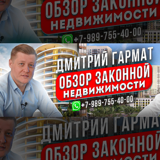 Статистика Дзен Дмитрий Гармат