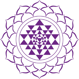 Дзен PyarYoga статистика