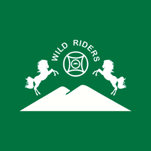 Статистика Дзен Клуб конного туризма Wild Riders
