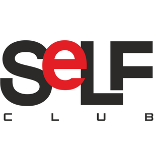 Статистика Дзен SELF club